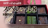 スペシャル8