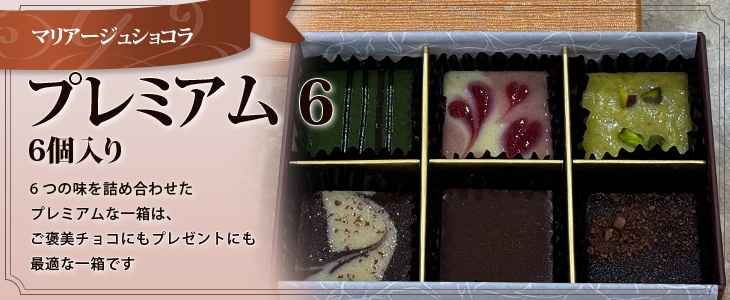 プレミアム 6